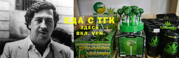 ПСИЛОЦИБИНОВЫЕ ГРИБЫ Алексин